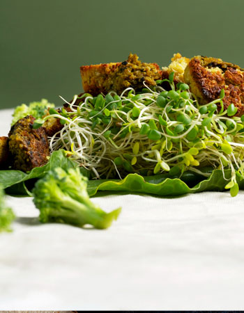 Flavour so good you’ll try to eat with your eyes.